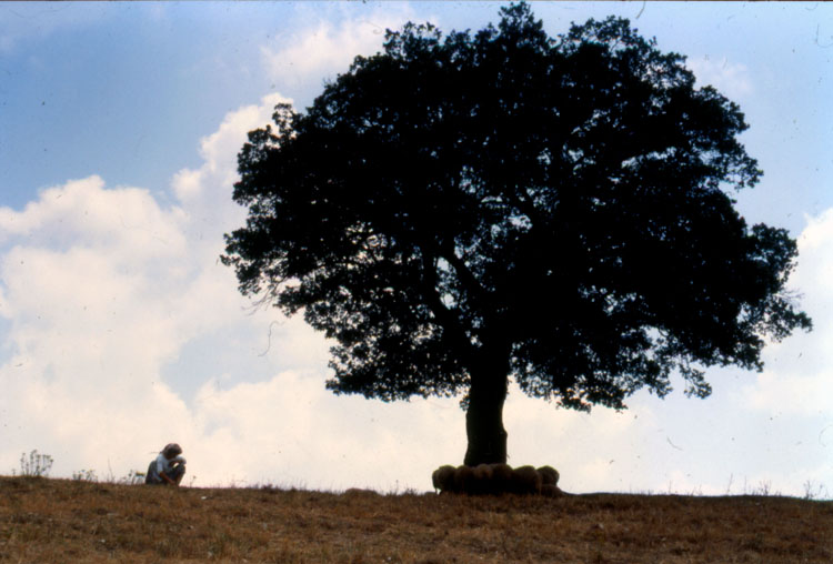 GALOkyarAtillaCoban.jpg