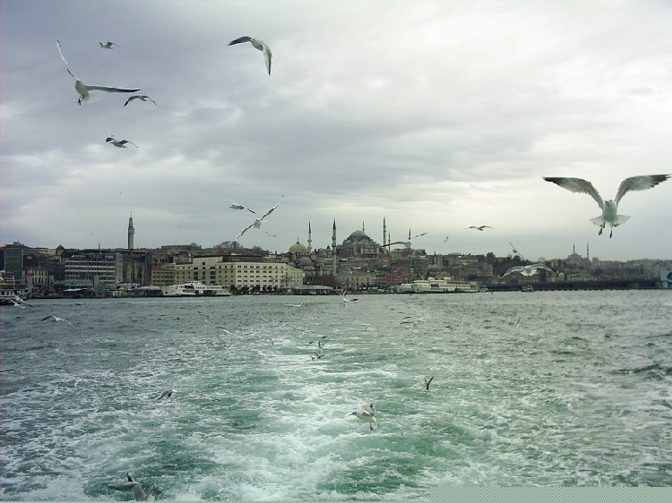 Vapurun Ardndan [Vildan Sonmez]