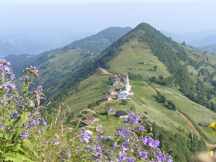 Yayla [Yusuf Ziya Hasanolu]