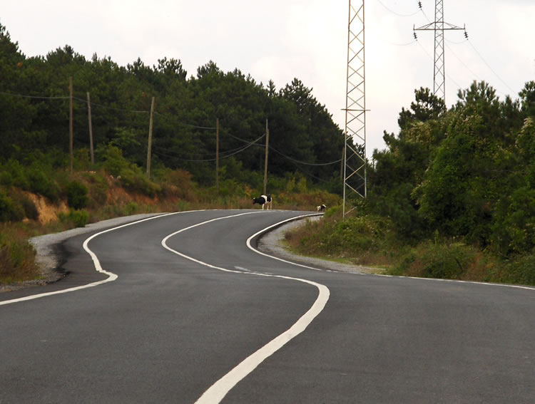 Yollar [Ercan Ku]