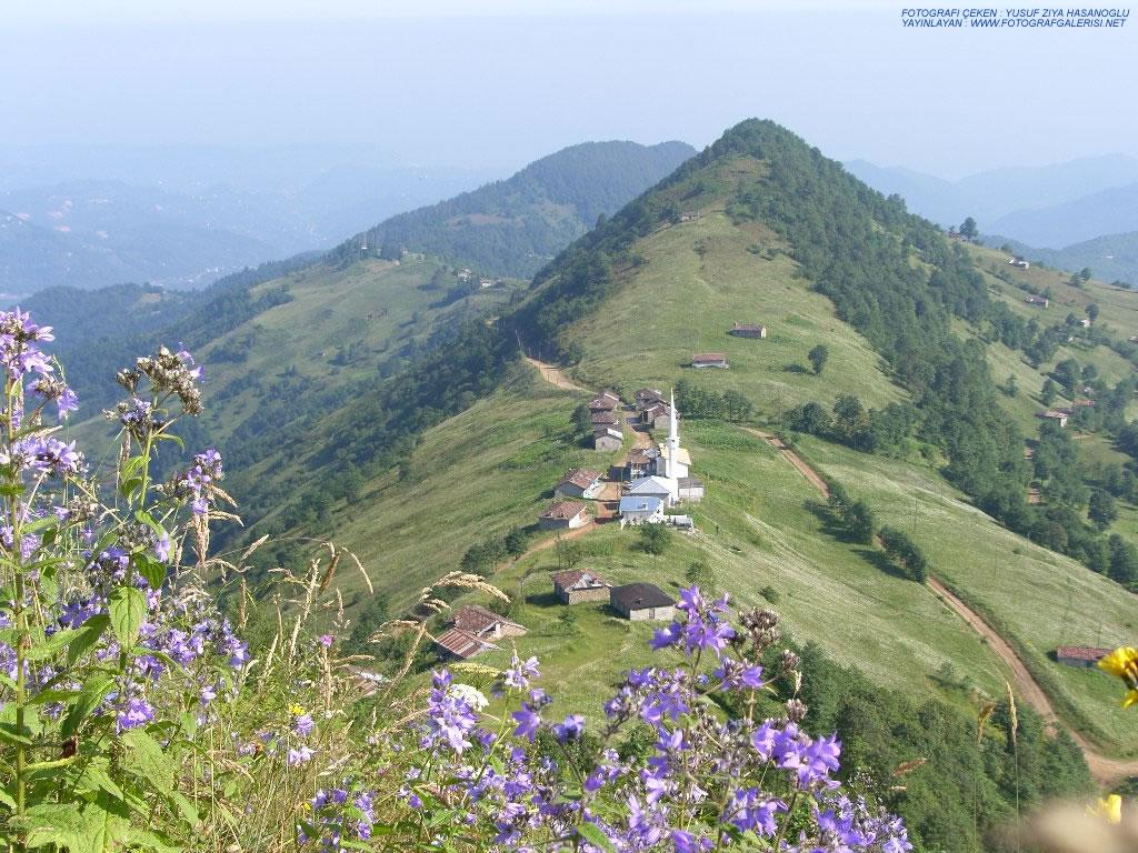 Karadeniz Yaylalari [Yusuf Ziya Hasanoglu]