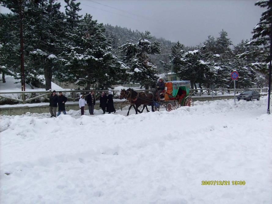 Beyaz inci Abant ta Fayton Sefas [Gknur Srek]