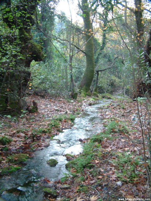 Degirmen Suyu , Marmaris [Haldun Ilhan]