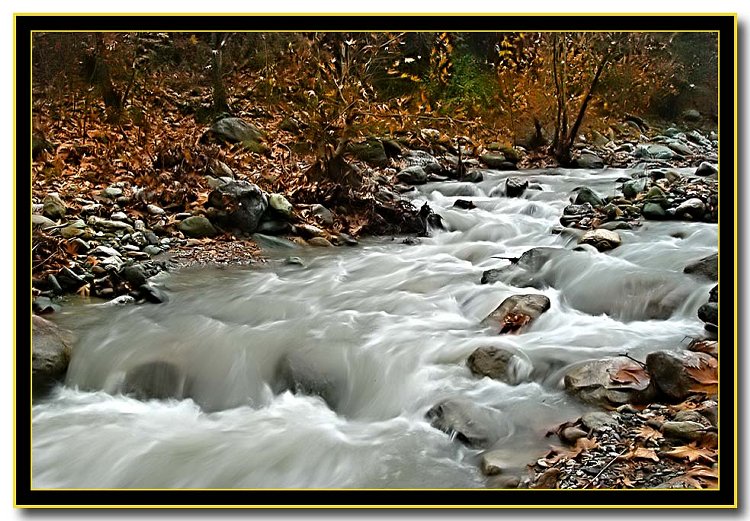 Yanık Deresi Sapanca [Ismail allı]