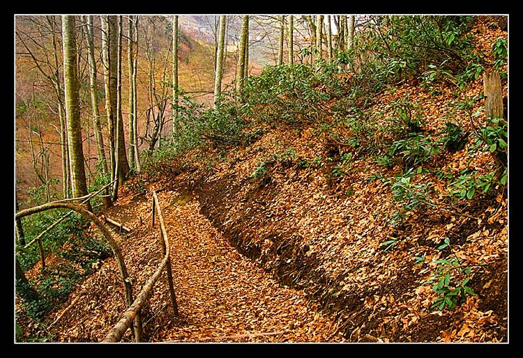 Guzeldere , Duzce [Ismail allı]