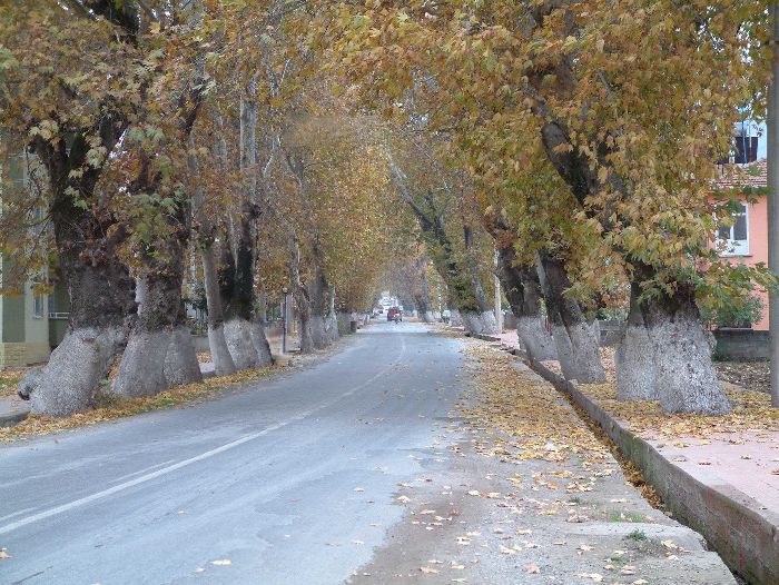 Balkesir Caddesi [Necip Karatuna]