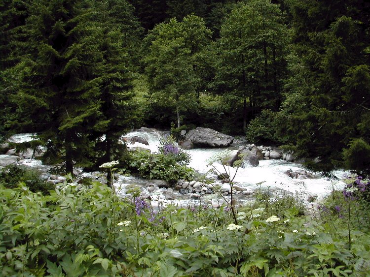 Karadeniz Dereleri [Yusuf Ziya Hasanoglu]