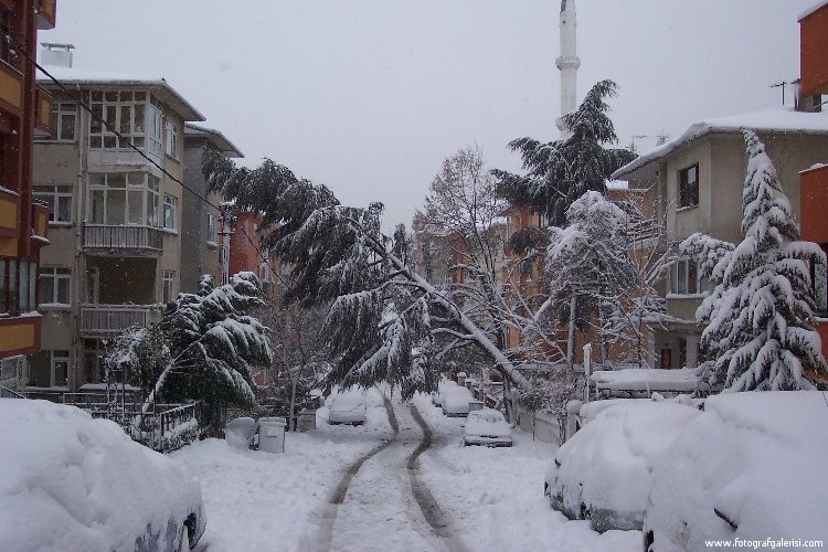 Istanbul da Kış , Ocak 2004