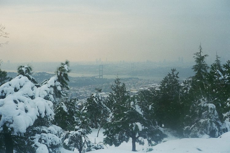 Istanbul [Halil Bozoglu]