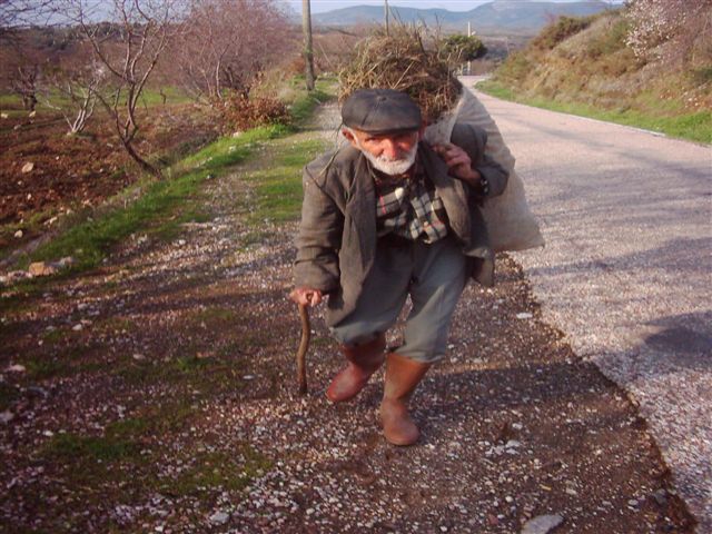 Datca lı Koylu [Nazan Gursoy]