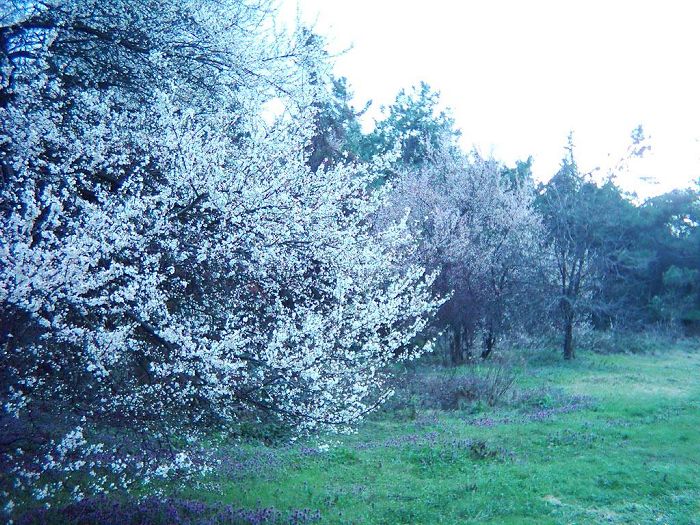 Direniş [Deniz Corabatir]