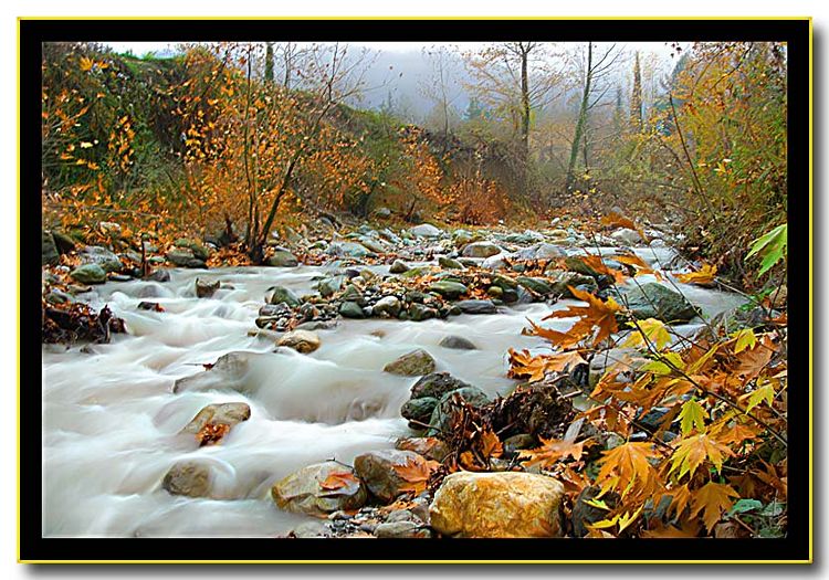 Yanık Deresi Sakarya [Ismail allı]