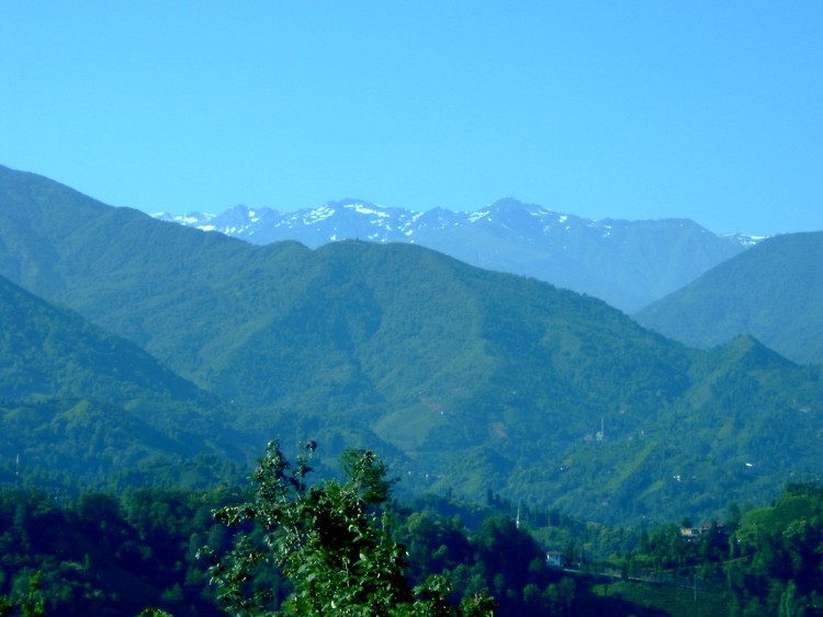 Kakarlar ,Uzak [Seyfi Arıcı]