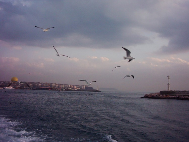 Istanbul [Zafer uyumez]