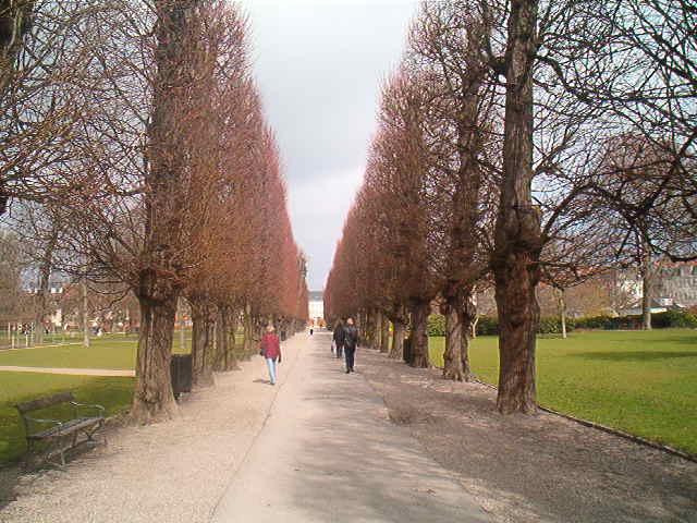 Fascinating Road [Halit Polat]