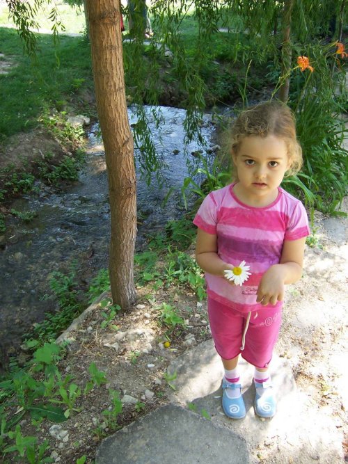 Elif in Yersiz Kaygs [Tamer Arda]