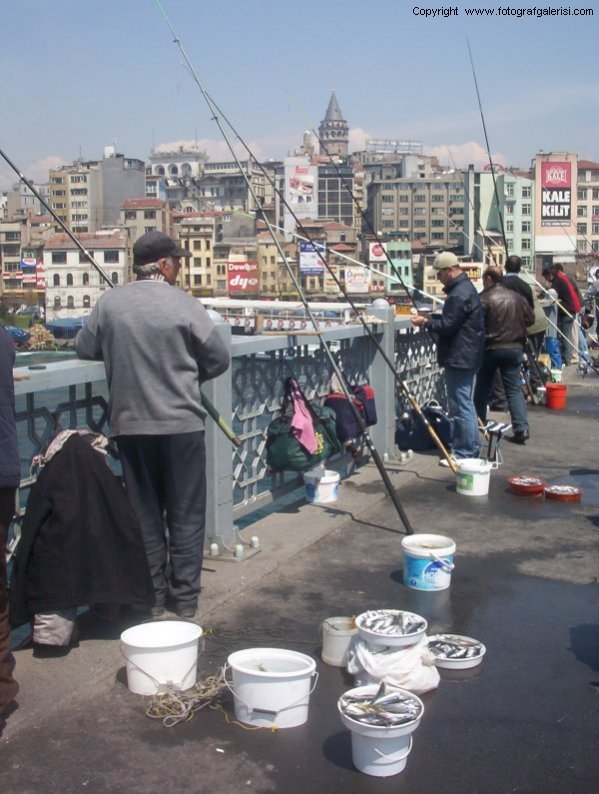 Galata ve Balklar