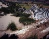 Patara