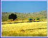 Afyon Kutahya Yolu [Ismail allı]