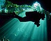 Yucatan (Meksika) Cenotes (sualti magralari) [Ahmet Tezel]