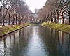 Konigsallee Boulevard , Dusseldorf [Halit Polat]