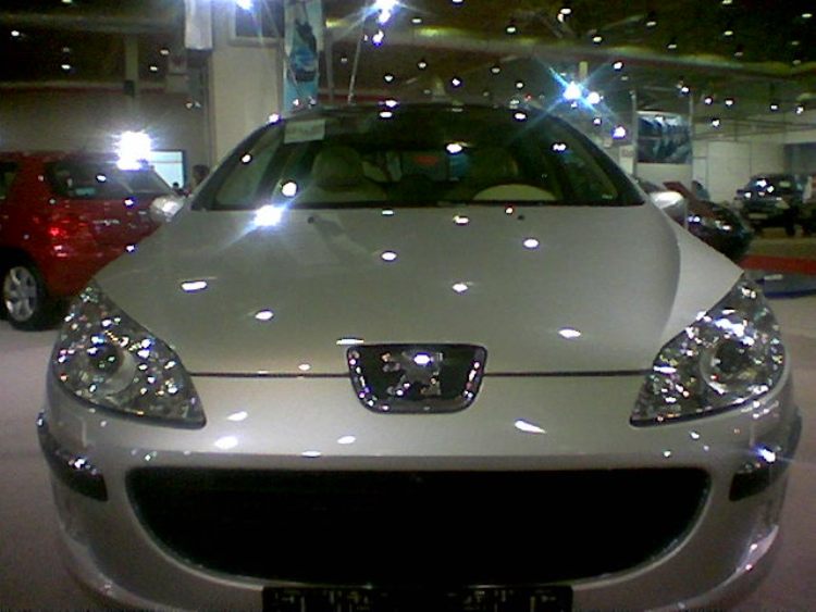 Peugeot 407 sw [Osman Karaca]