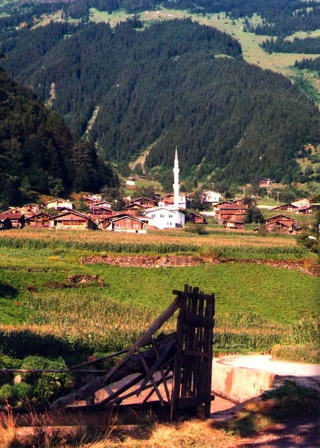 Yayla-karadeniz