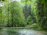 Virale Bosna park [Kemal Gnen]