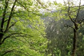 Karadeniz Yeili [Sleyman Borlak]