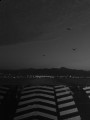 zmir feribot [Uur TURAN]