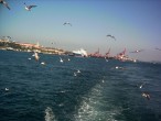 stanbul ve Martlar [igdem Akan]